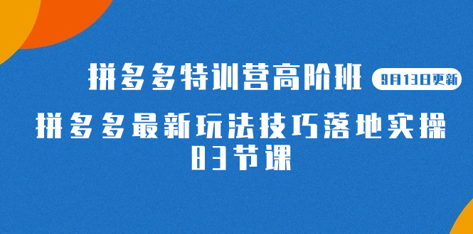 2023拼多多·特训营高阶班【9月13日更新】拼多多最新玩法技巧落地实操