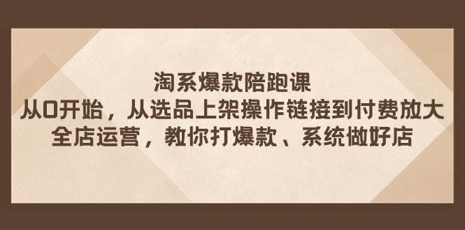 淘系爆款陪跑课 从选品上架操作链接到付费放大、全店运营、打爆款、系统做好店