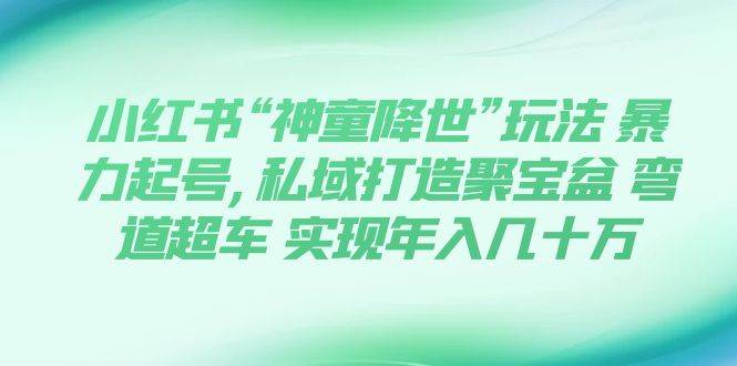 小红书“神童降世”玩法，暴力起号私域打造聚宝盆，弯道超车0基础玩转育婴法则，实现年入几十万