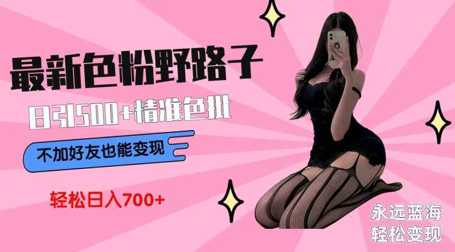 最新色粉变现野路子，日引500+老色批，可不加好友直接变现，小白轻松日入700+