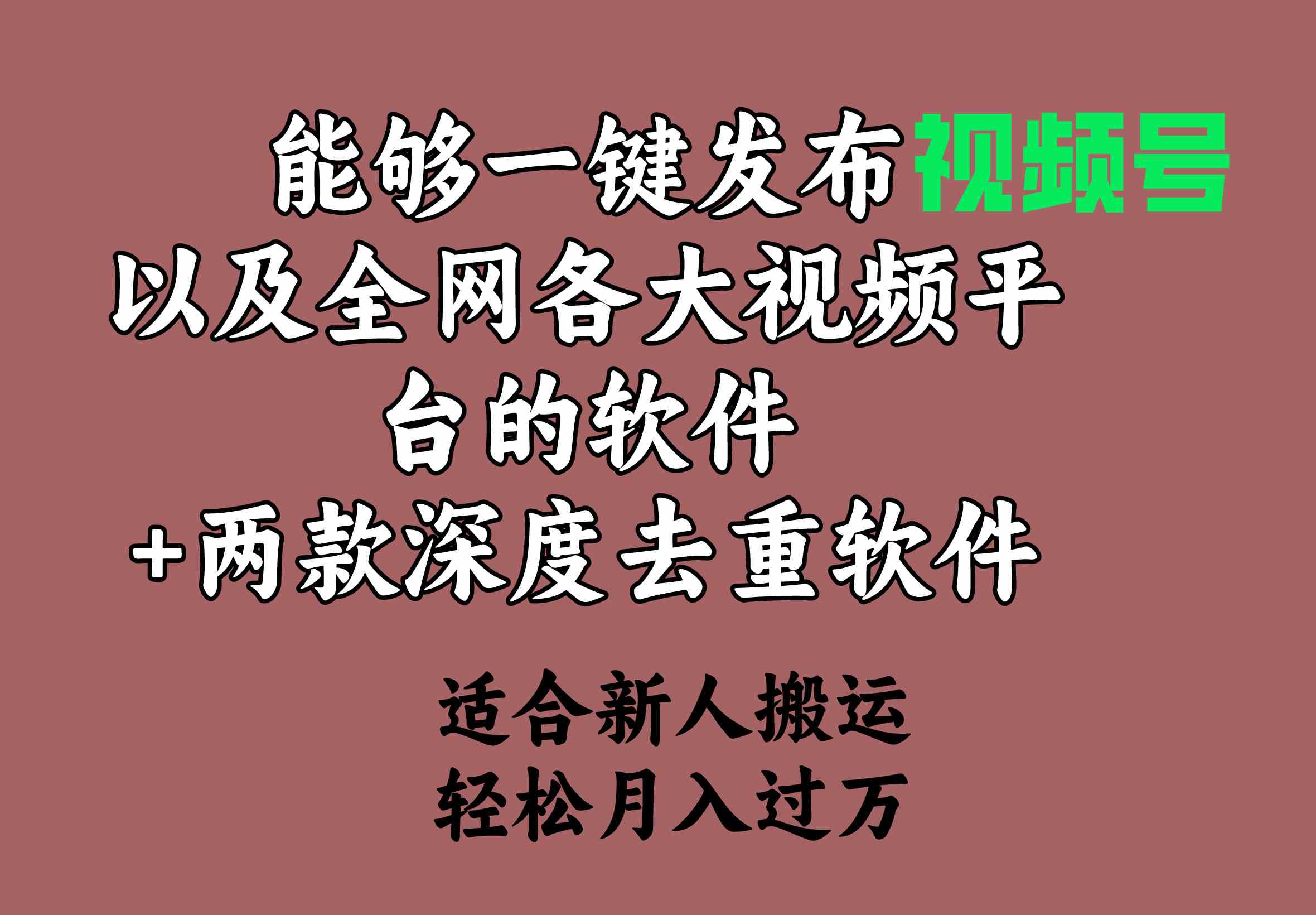 能够一键发布视频号以及全网各大主流平台+两款去深度去重软件，适合新人搬运，轻容月入过万