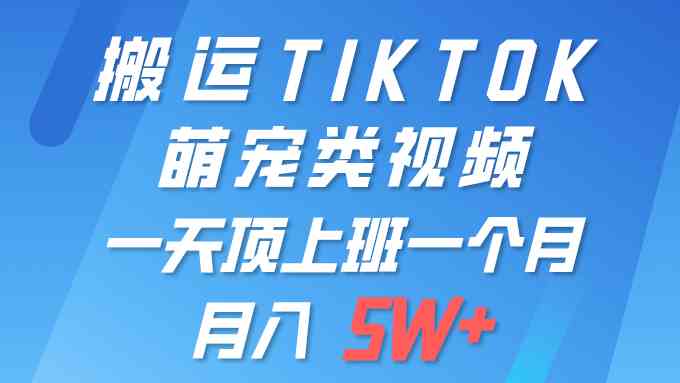 一键搬运TIKTOK萌宠类视频，一部手机即可操作，所有平台均可发布，轻松月入5W+