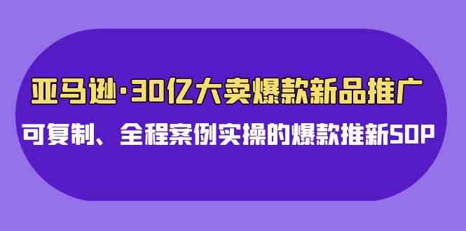 亚马逊 30亿·大卖爆款新品推广，可复制、全程案例实操的爆款推新SOP