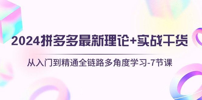 2024拼多多，最新理论+实战干货，从入门到精通全链路多角度学习-7节课