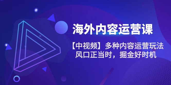 海外内容运营课【中视频】多种内容运营玩法，风口正当时，掘金好时机-101节