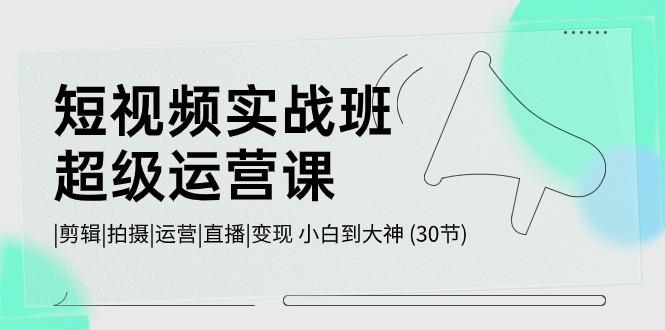 短视频实战班-超级运营课，|剪辑|拍摄|运营|直播|变现，小白到大神 (30节)