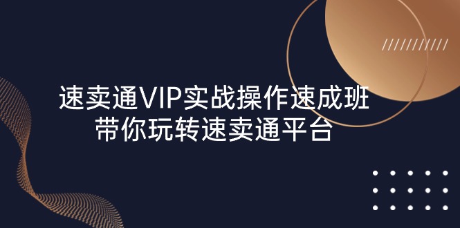 速卖通VIP实战操作-速成班，带你玩转速卖通平台（23节）