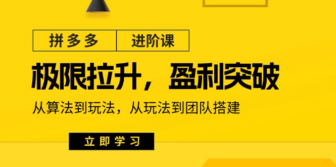 拼多多·进阶课：极限拉升/盈利突破，从算法到玩法，从玩法到团队搭建-18节