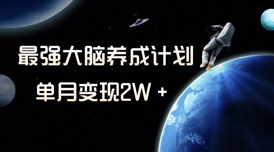 冷门虚拟项目，最强大脑养成计划，一个月变现2w+