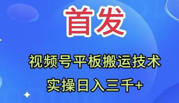全网首发：视频号平板搬运技术，实操日入3000+