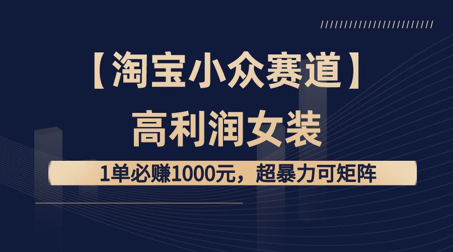 【淘宝小众赛道】高利润女装：1单必赚1000+，超暴力可矩阵