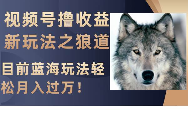 视频号撸收益新玩法之狼道，目前蓝海玩法轻松月入过万