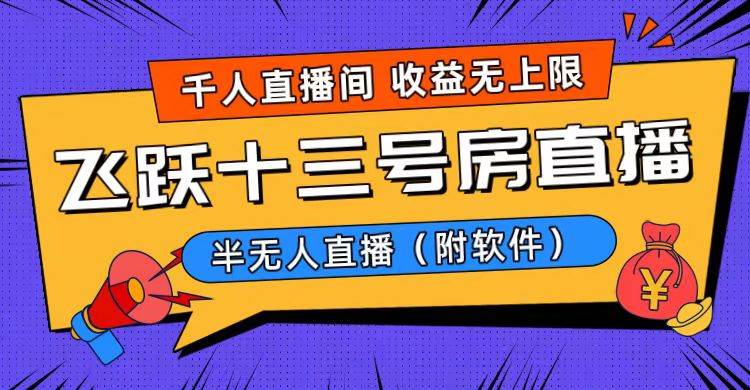 爆火飞跃十三号房半无人直播，一场直播上千人，日入过万（附软件）