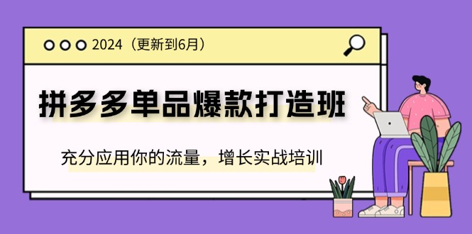 2024拼多多单品爆款打造班，充分应用你的流量，增长实战培训