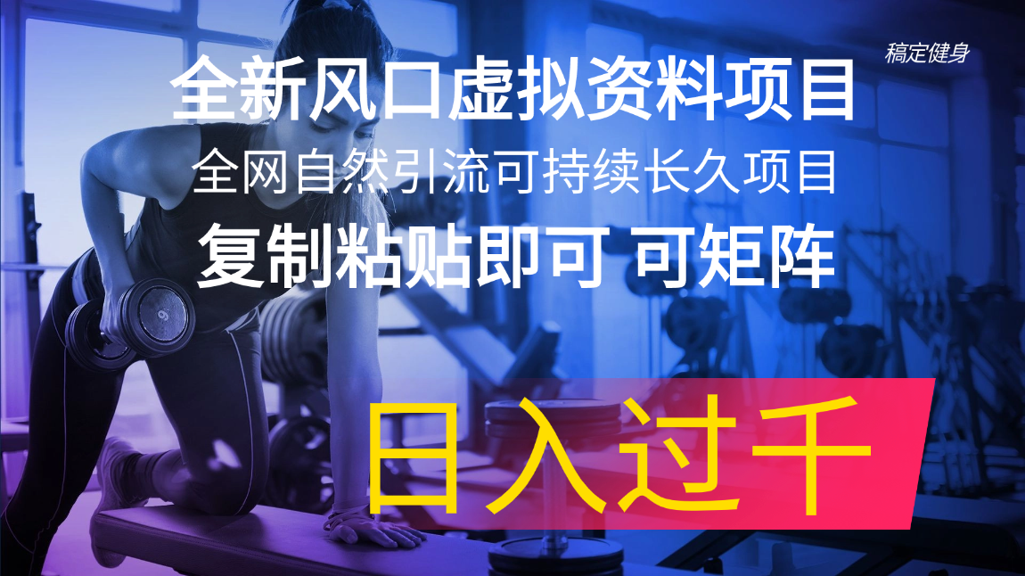 全新风口虚拟资料项目,全网自然引流可持续长久项目,复制粘贴即可可矩阵,日入过千-小千网络