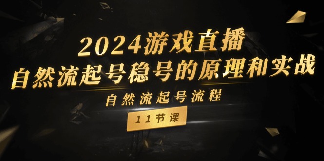2024游戏直播，自然流起号稳号的原理和实战，自然流起号流程（11节）