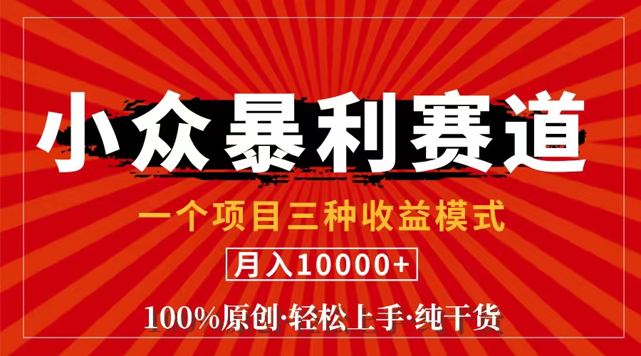 视频号【中老年粉深信不疑】小众赛道，100%原创，手把手教学，月入10000+