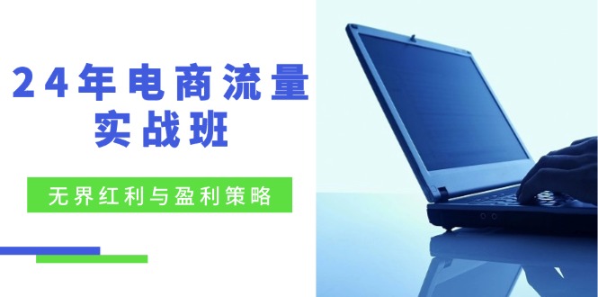 24年电商流量实战班：无界红利与盈利策略，终极提升/关键词优化/精准人群拓展/创新玩法