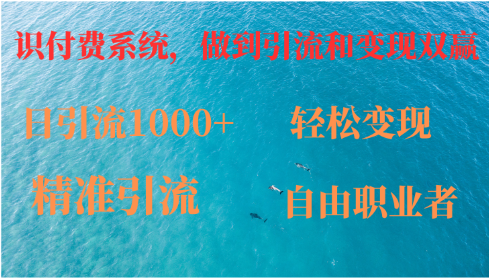 如何搭建自己的知识付费系统，做到引流和变现双赢，日引1000+-小千网络