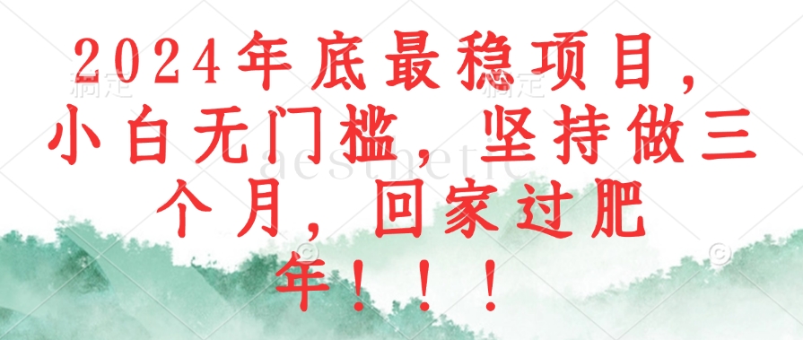 2024年底最稳项目，小白无门槛，坚持做三个月，回家过肥年-小千网络