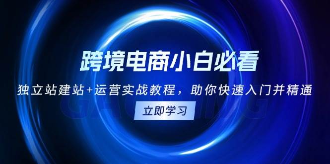 跨境电商小白必看，独立站建站+运营实战教程，助你快速入门并精通