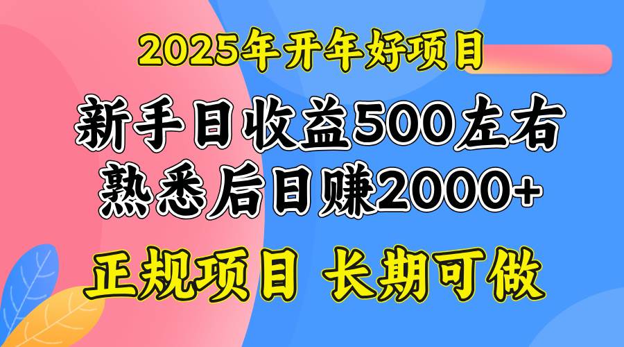 2025开年好项目，单号日收益2000+-小千网络